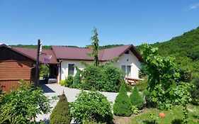 Domek Pod Czubatką